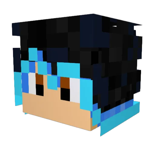 Sebas5646 Minecraft avatar head, 3D render