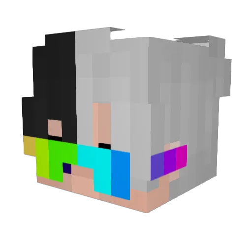 Sebas8245 Minecraft avatar head, 3D render