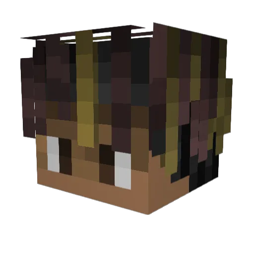 Sebas9000 Minecraft avatar head, 3D render