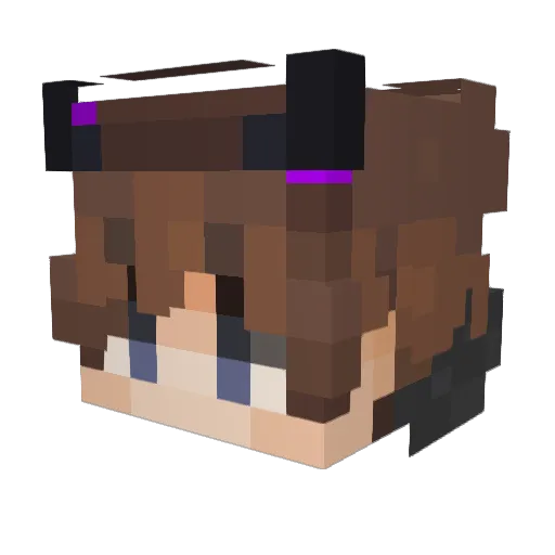SebasRo17 Minecraft avatar head, 3D render