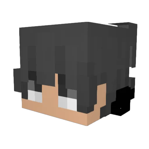 Sebasbarr Minecraft avatar head, 3D render