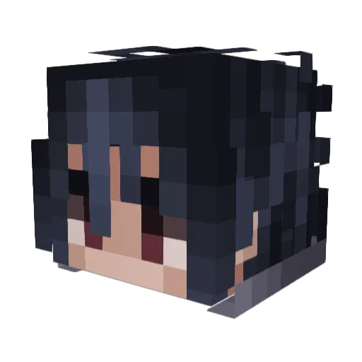 Sebasenpaii Minecraft avatar head, 3D render