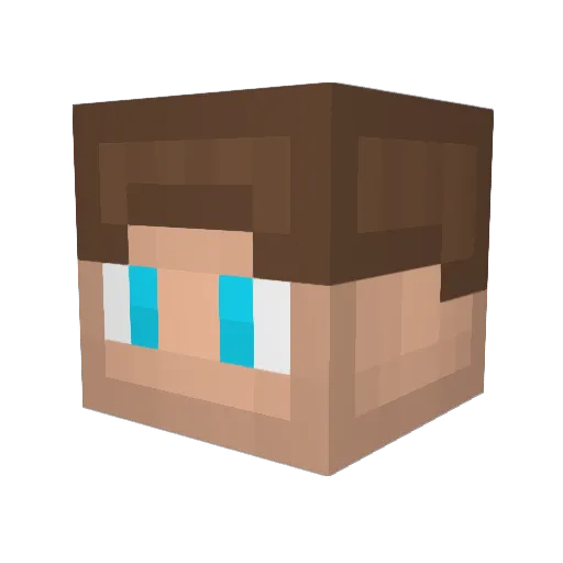 Sebasrainbow Minecraft avatar head, 3D render