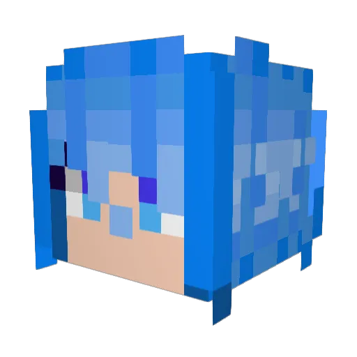 Sebass1204 Minecraft avatar head, 3D render