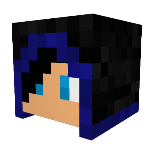 Sebass98 Minecraft avatar head, 3D render