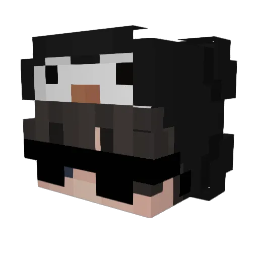 Sebastanekkk Minecraft avatar head, 3D render