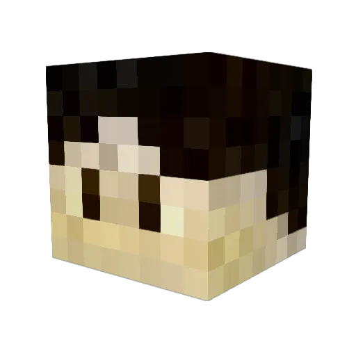Sebastiago241 Minecraft avatar head, 3D render