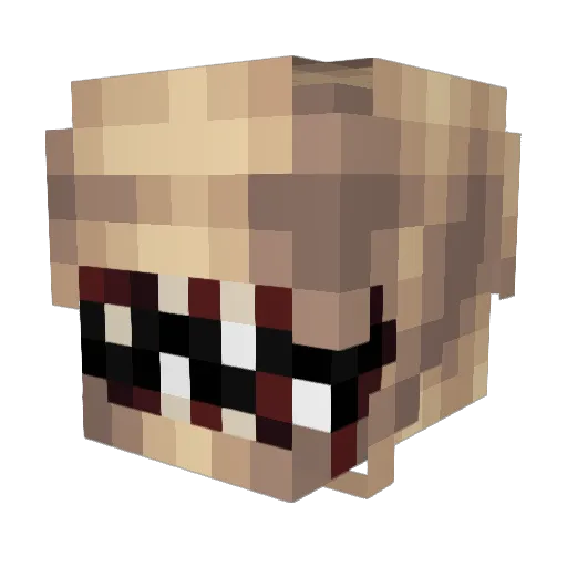 Sebastian11111 Minecraft avatar head, 3D render
