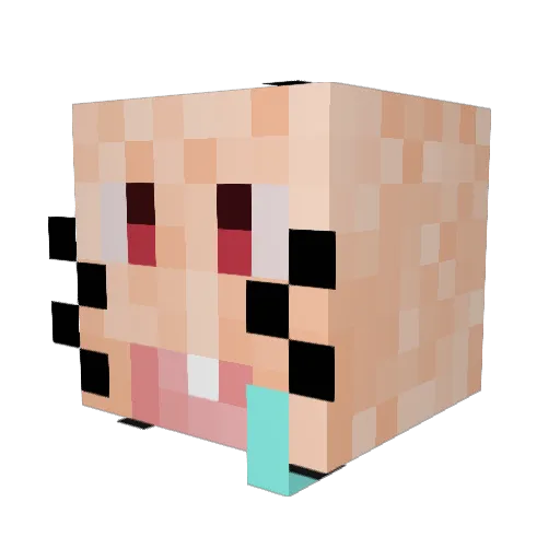 Sebastian1234566 Minecraft avatar head, 3D render