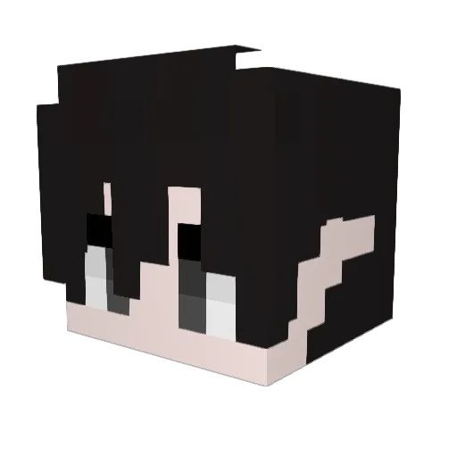 Sebastian4Me Minecraft avatar head, 3D render