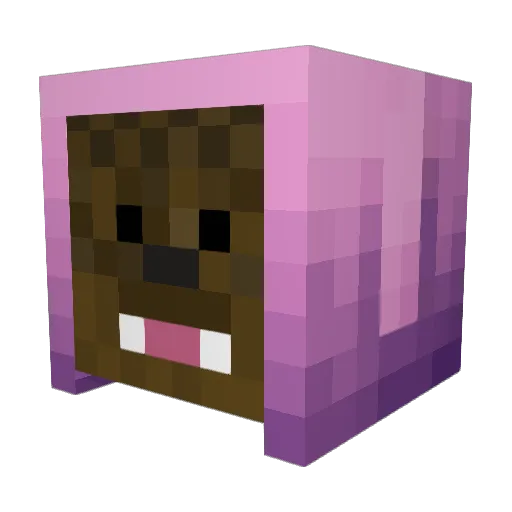 SebastianP1234 Minecraft avatar head, 3D render