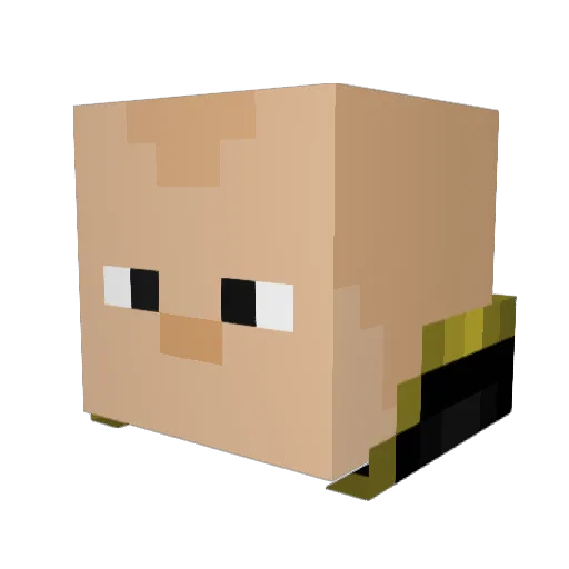 SebastianXD2 Minecraft avatar head, 3D render