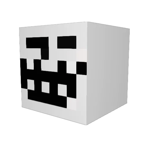 Sebastian_Riger4 Minecraft avatar head, 3D render