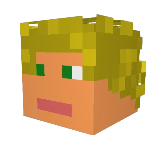 Sebastianmine360 Minecraft avatar head, 3D render