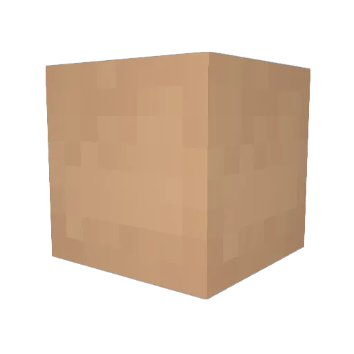 Sebastien_Sees Minecraft avatar head, 3D render