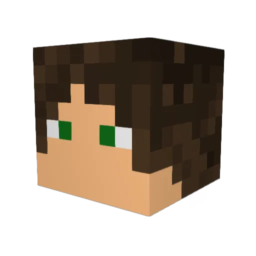 Sebastion2567 Minecraft avatar head, 3D render
