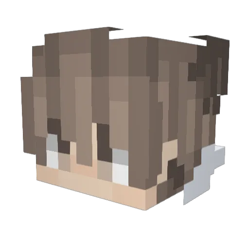 Sebaticus Minecraft avatar head, 3D render
