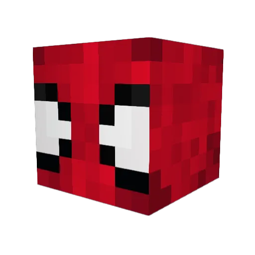 Sebaun Minecraft avatar head, 3D render