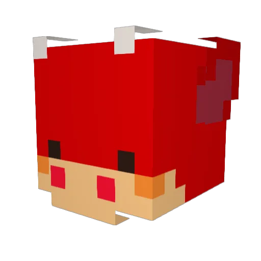 Sebbel510 Minecraft avatar head, 3D render