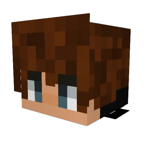 Sebbi3000 Minecraft avatar head, 3D render