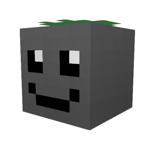 Sebbis808 Minecraft avatar head, 3D render