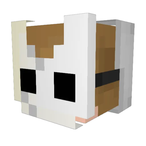 Sebby1394 Minecraft avatar head, 3D render