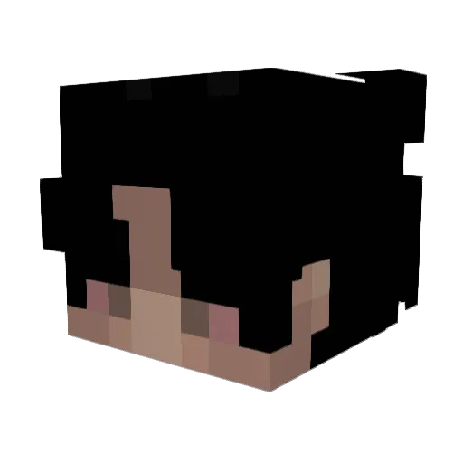Sebby332211 Minecraft avatar head, 3D render