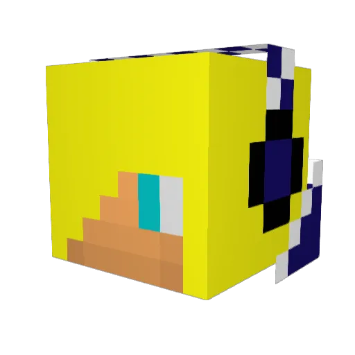 Sebe9 Minecraft avatar head, 3D render
