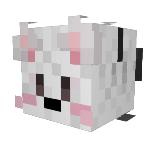 Sebi0705 Minecraft avatar head, 3D render