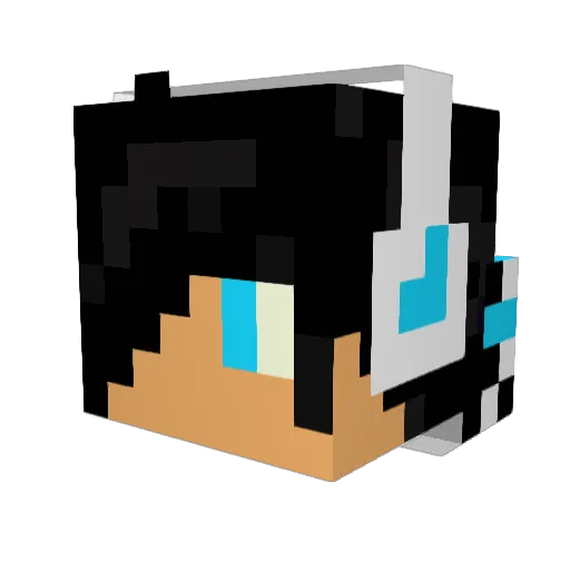 Sebi747 Minecraft avatar head, 3D render