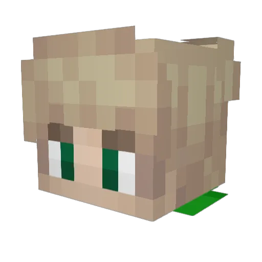 SebiPL Minecraft avatar head, 3D render