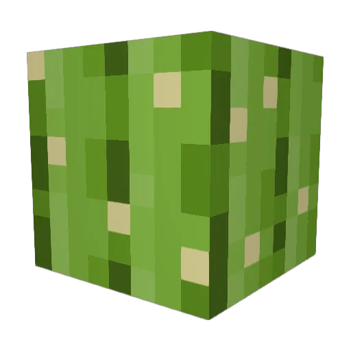SebiSalzig Minecraft avatar head, 3D render