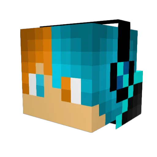 SebiXR6 Minecraft avatar head, 3D render