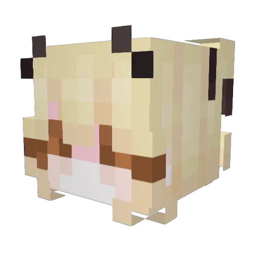 Sebicuu Minecraft avatar head, 3D render