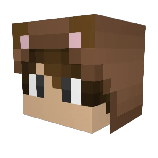 Sebimal Minecraft avatar head, 3D render