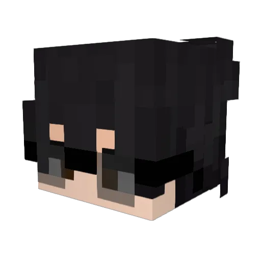 Sebinas Minecraft avatar head, 3D render