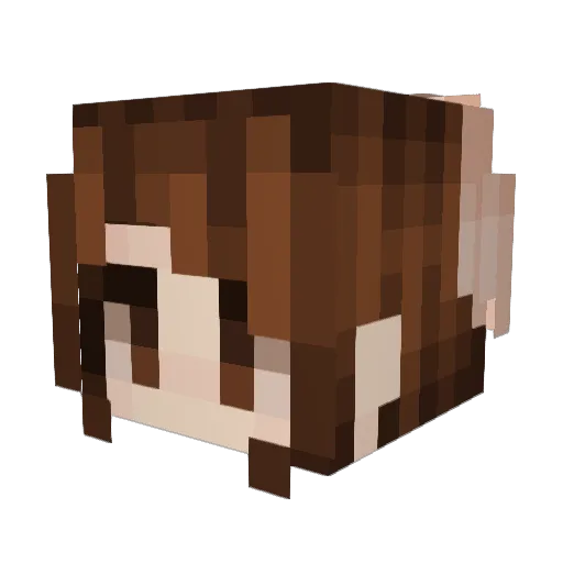 Sebinelevyn Minecraft avatar head, 3D render