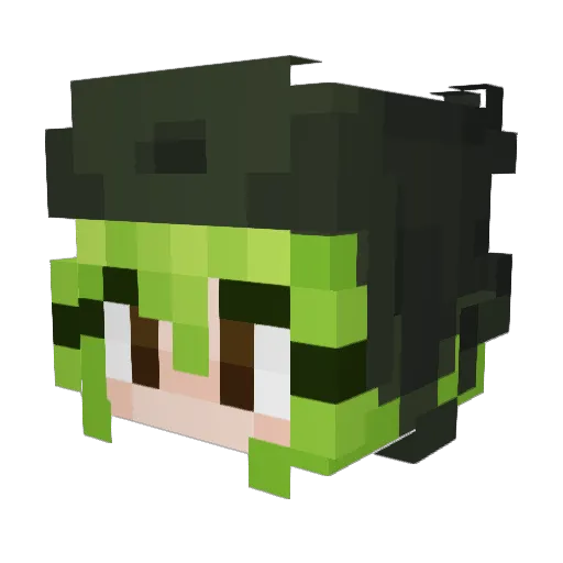 Sebistan Minecraft avatar head, 3D render