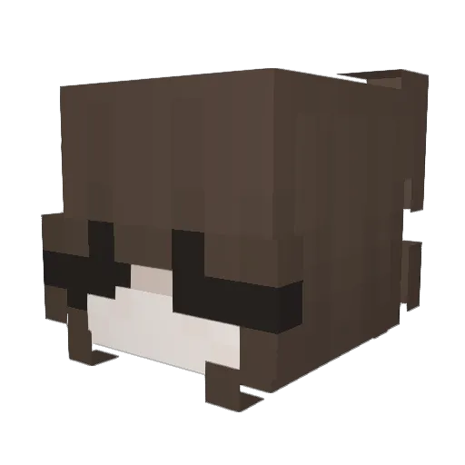 Sebix2009 Minecraft avatar head, 3D render
