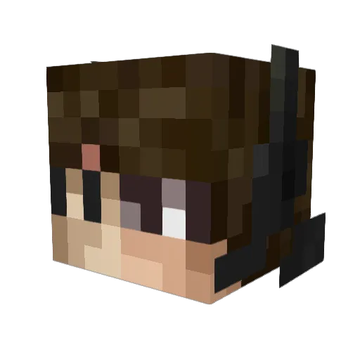 Sebl26 Minecraft avatar head, 3D render