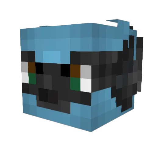 Seblay Minecraft avatar head, 3D render