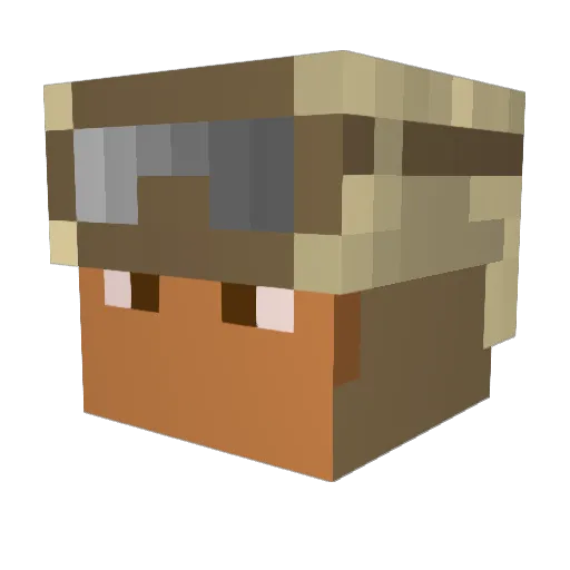 Sebo109 Minecraft avatar head, 3D render