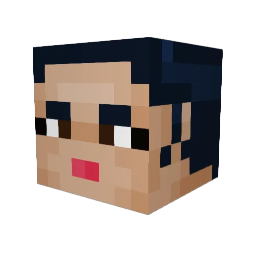 SeboofPlays Minecraft avatar head, 3D render