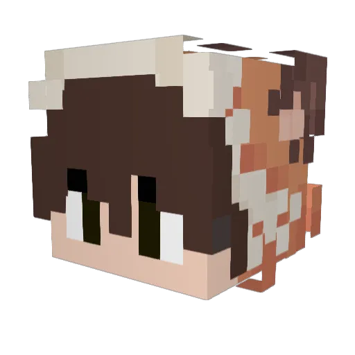 Seborest Minecraft avatar head, 3D render