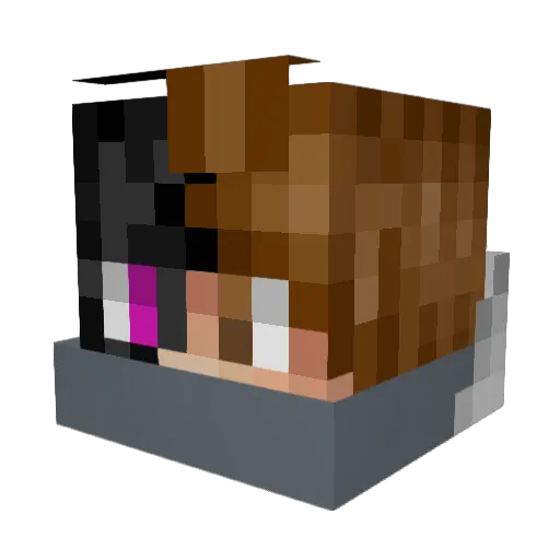 Sebqstiqn Minecraft avatar head, 3D render