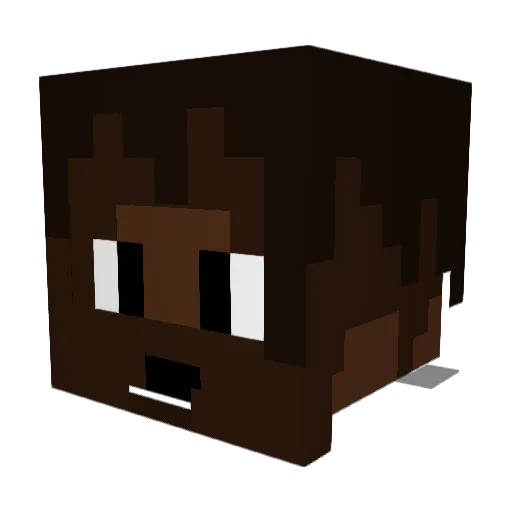 Sebuzz Minecraft avatar head, 3D render