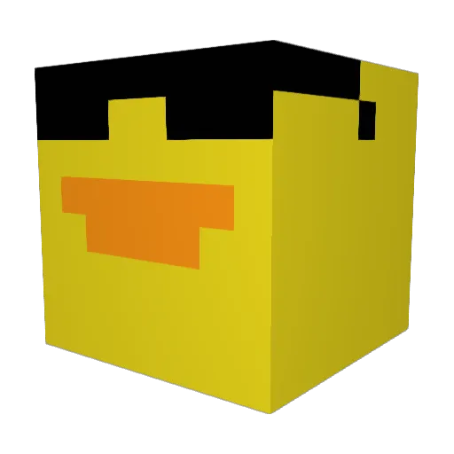 Sebweigh Minecraft avatar head, 3D render
