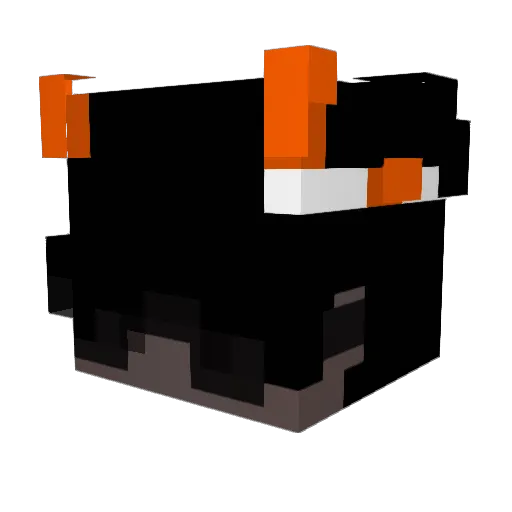 Sebwyd Minecraft avatar head, 3D render