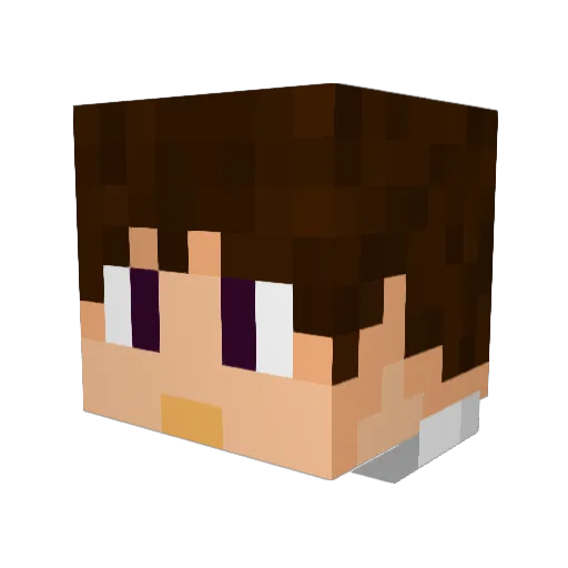 SebyBoy117 Minecraft avatar head, 3D render