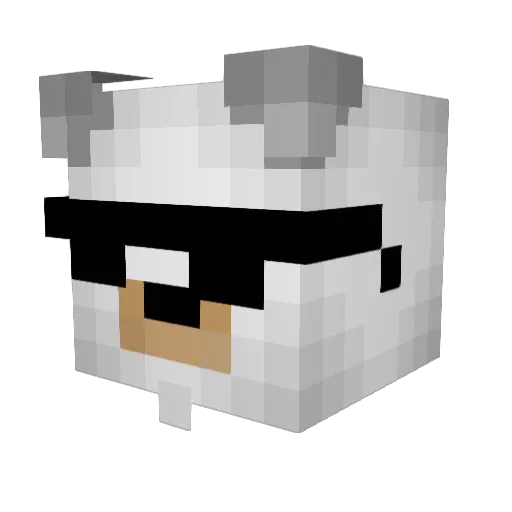 SebySebSeby Minecraft avatar head, 3D render